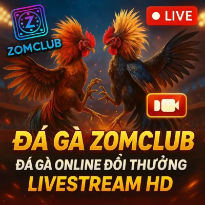Đá Gà ZomClub – Đá Gà Online Đổi Thưởng, Livestream HD
